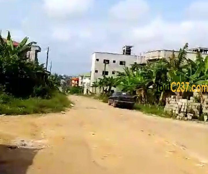 Terrain d'angle à vendre à Yassa Maetur