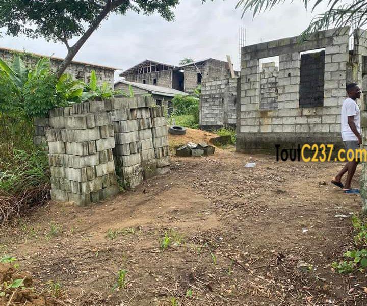 Terrain à vendre a Japoma Douala