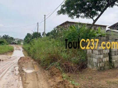 Terrain à vendre a Japoma Douala