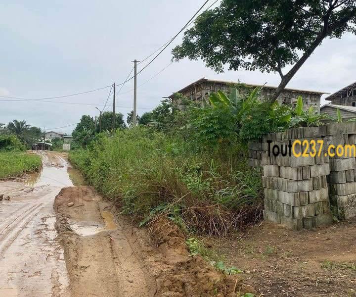 Terrain à vendre a Japoma Douala