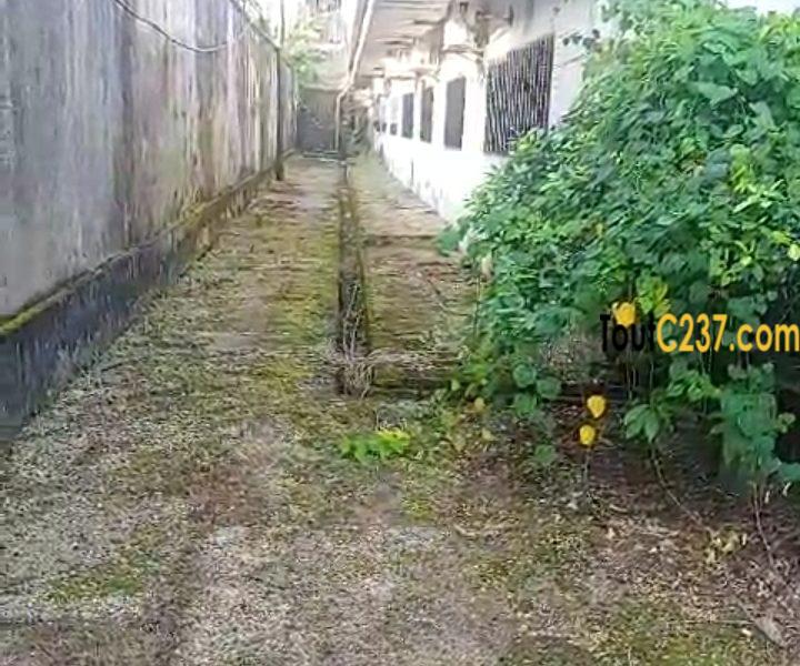 Entrepôt à louer à Ndokoti (Zone de bassa)