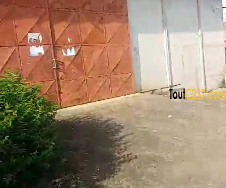 Entrepôt à louer à Ndokoti (Zone de bassa)
