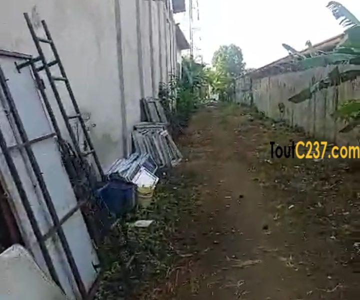 Entrepôt à louer à Ndokoti (Zone de bassa)