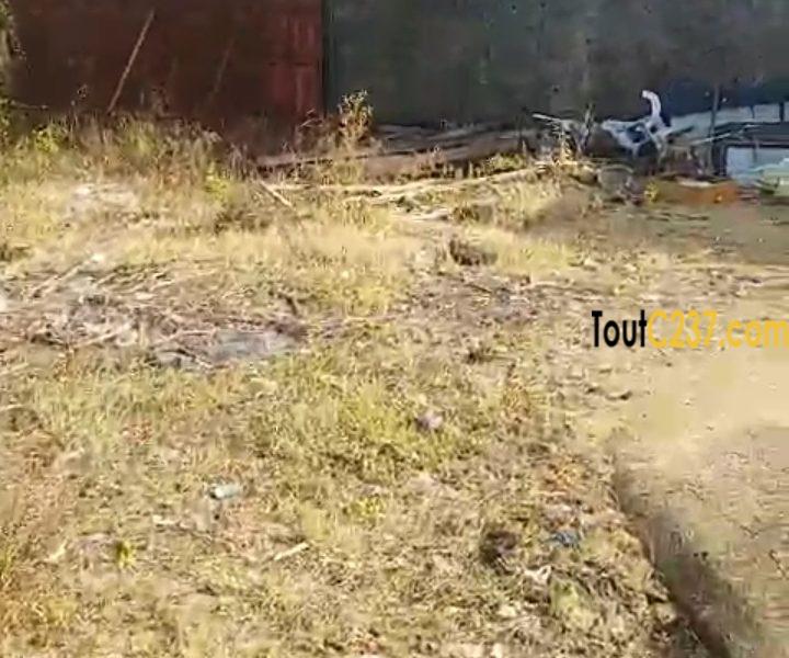 Entrepôt à louer à Ndokoti (Zone de bassa)
