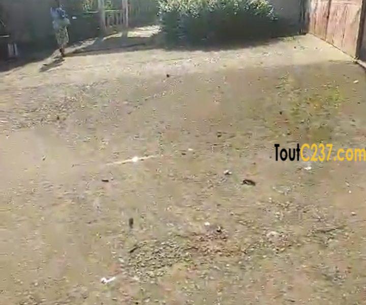 Entrepôt à louer à Ndokoti (Zone de bassa)