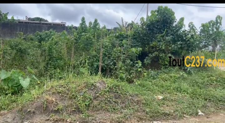Terrain d'angle à vendre à Kotto Oasis