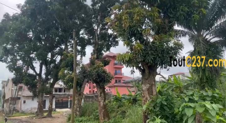 Terrain d'angle à vendre à Kotto Oasis