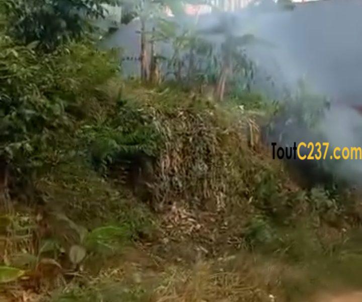 Terrain à vendre à Yassa Maetur, Douala