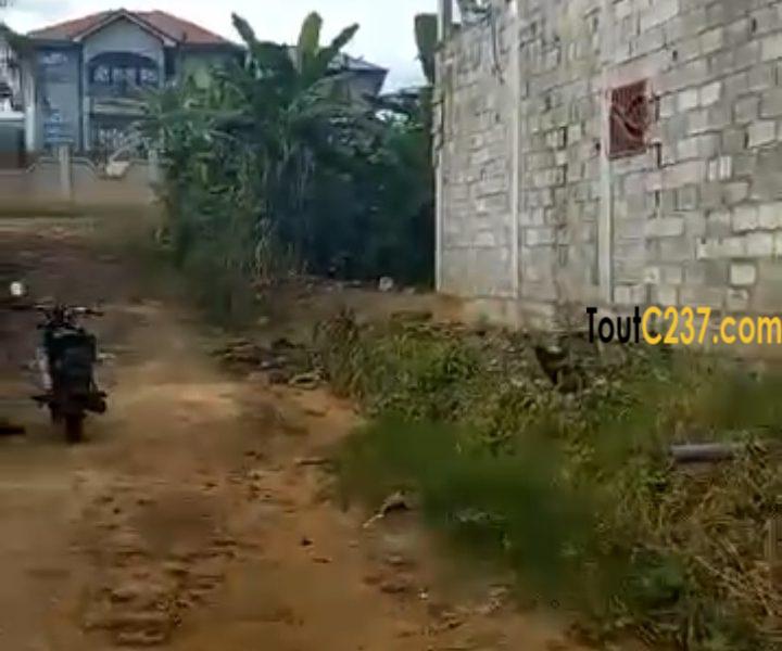 Terrain à vendre à Yassa Maetur, Douala