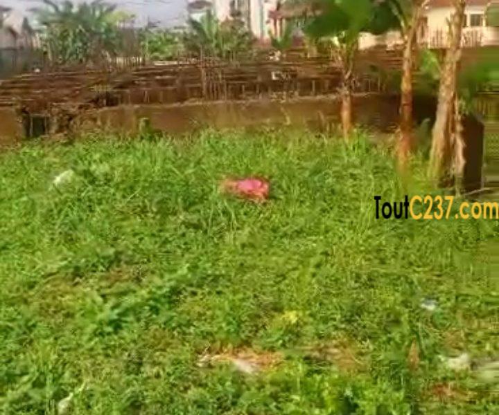 Terrain à vendre à Kotto Camtel, Douala