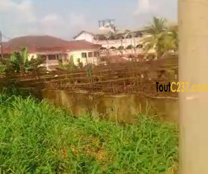 Terrain à vendre à Kotto Camtel, Douala