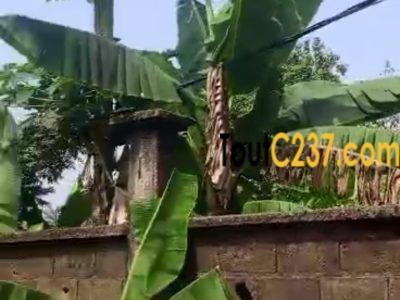 Terrain d'angle commercial à vendre à Logbessou