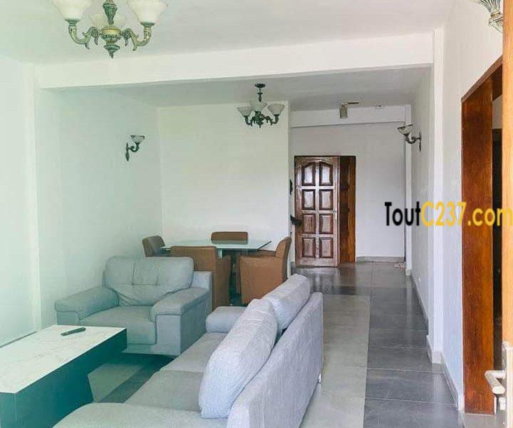 Appartement à louer à Logpom Douala