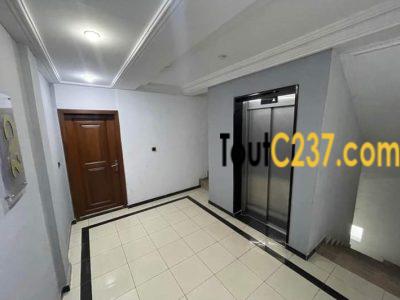 Appartement neuf à louer à Bonanjo Douala