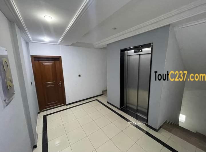 Appartement neuf à louer à Bonanjo Douala