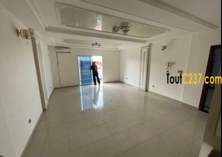 Appartement neuf à louer à Bonanjo Douala