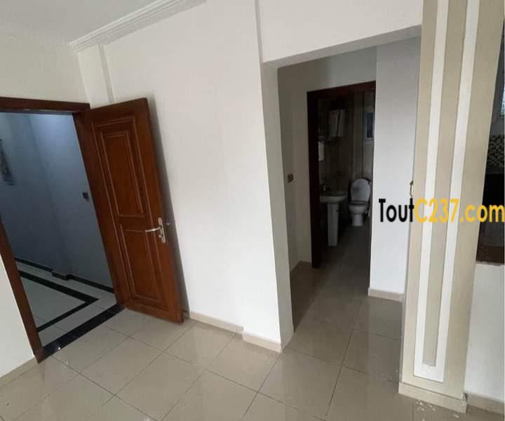 Appartement neuf à louer à Bonanjo Douala