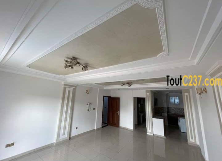 Appartement neuf à louer à Bonanjo Douala