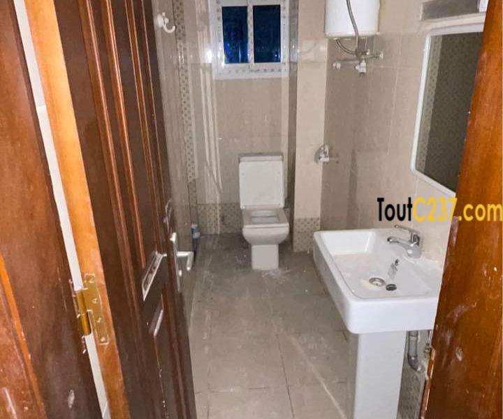 Appartement neuf à louer à Bonanjo Douala