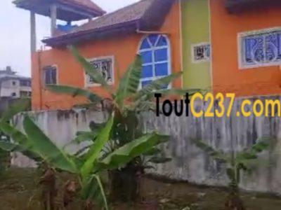 Terrain à vendre à Logbessou (Temoin de Jehovah)