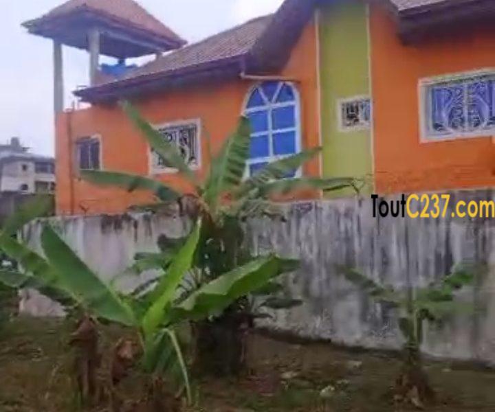 Terrain à vendre à Logbessou (Temoin de Jehovah)