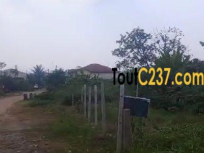 Terrain d'angle à vendre à Logbessou