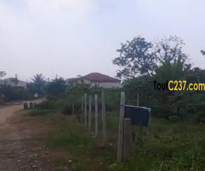 Terrain d'angle à vendre à Logbessou