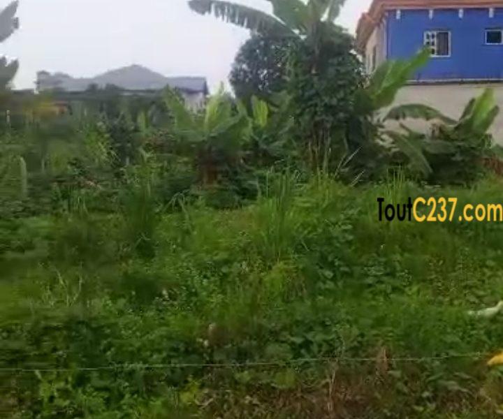 Terrain d'angle à vendre à Logbessou