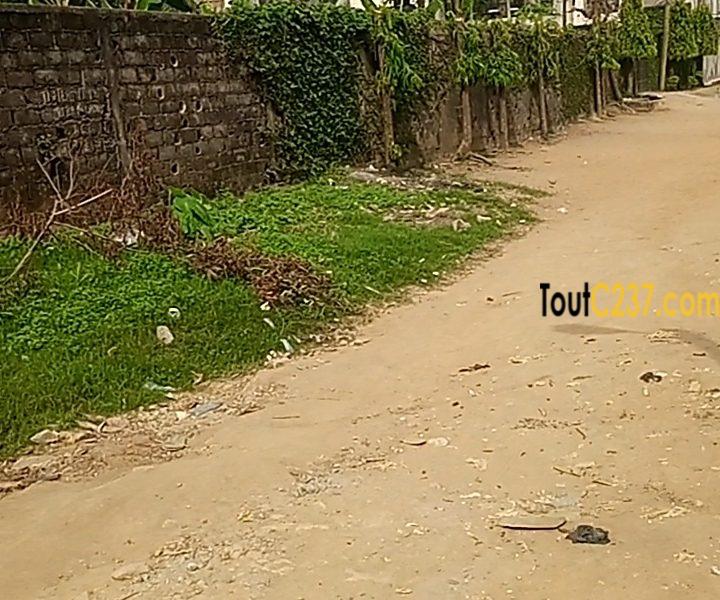 Terrain à vendre à Logpom (Hopital des soeurs)