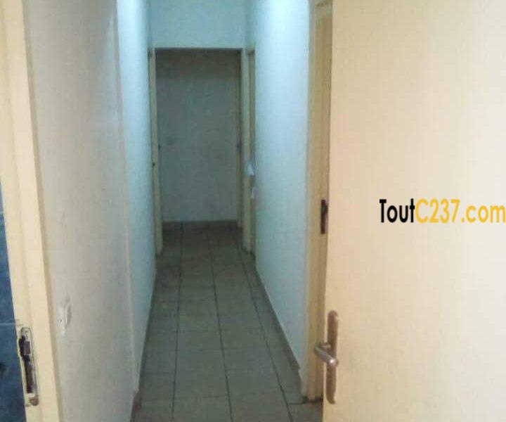 Maison sic à vendre à Kotto Douala