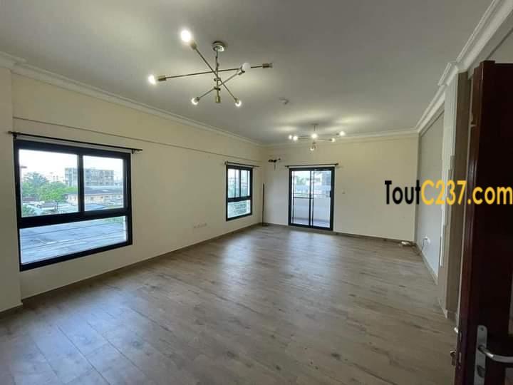 Appartement haut standing à louer à Bonapriso Douala