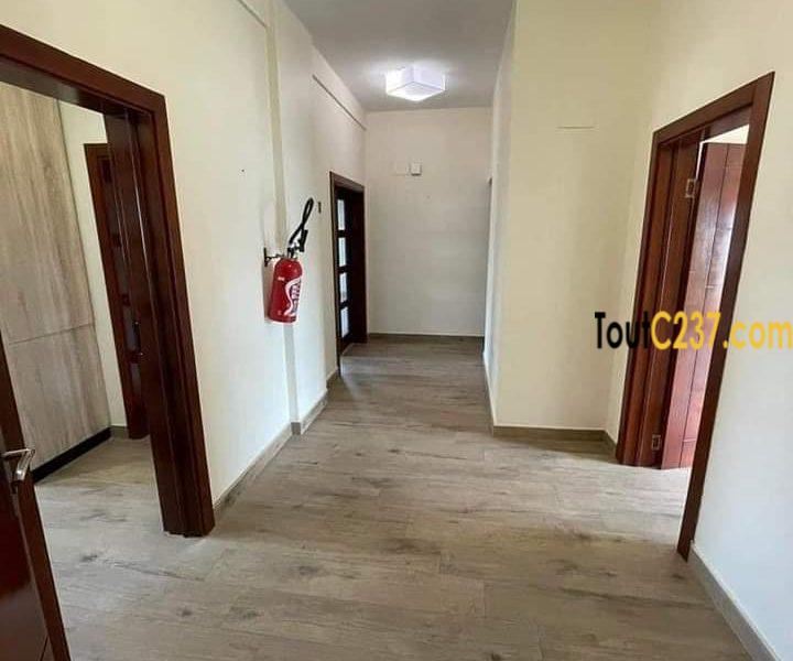 Appartement haut standing à louer à Bonapriso Douala