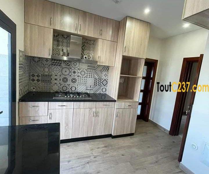 Appartement haut standing à louer à Bonapriso Douala