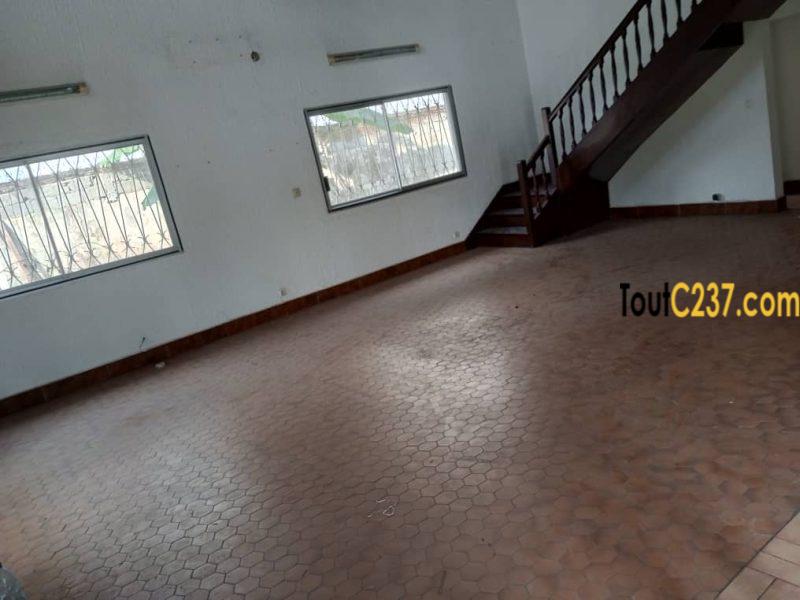 Duplex à louer à Bonapriso Douala