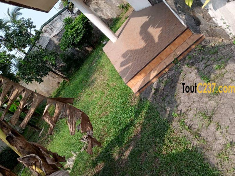 Duplex à louer à Bonapriso Douala