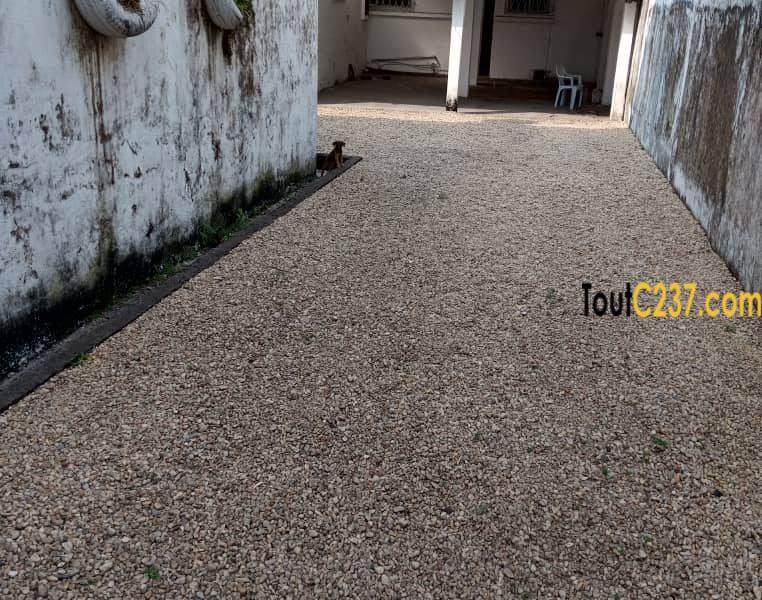 Duplex à louer à Bonapriso Douala