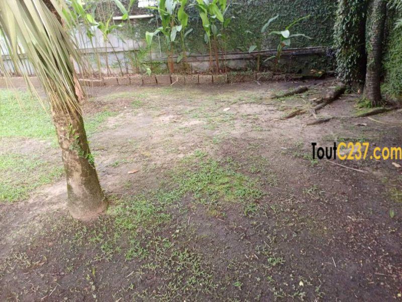 Joli Duplex à louer à Bonapriso, Douala