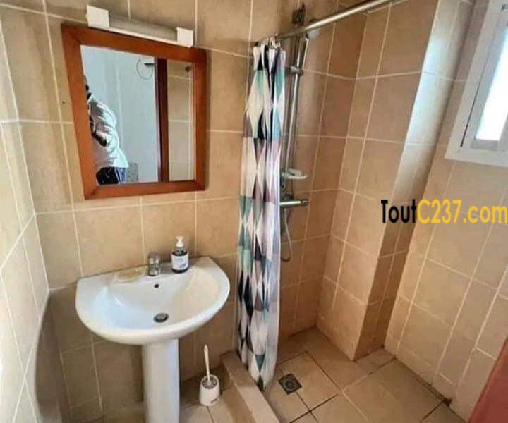Vaste appartement à louer à Bonapriso Douala