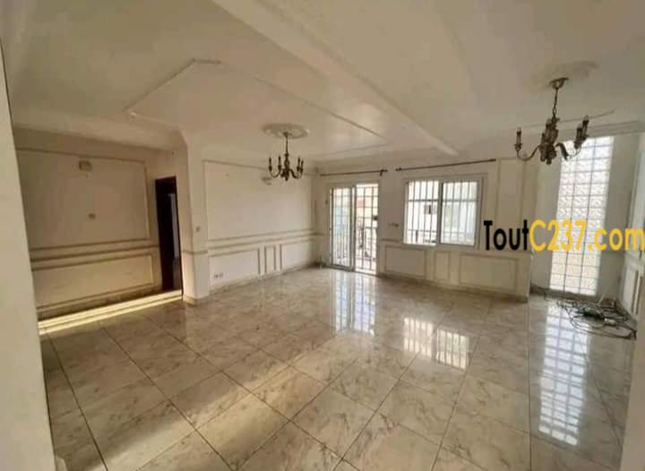 Vaste appartement à louer à Bonapriso Douala