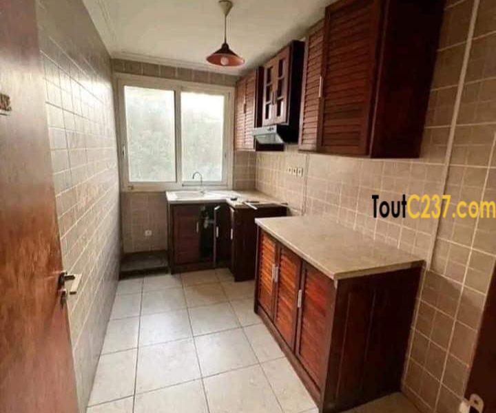Vaste appartement à louer à Bonapriso Douala