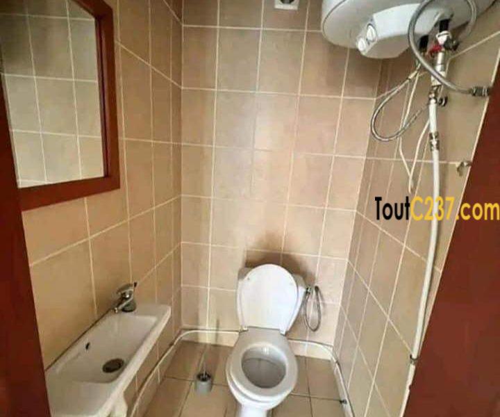 Vaste appartement à louer à Bonapriso Douala