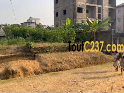 Terrain à vendre à Logpom Njoya