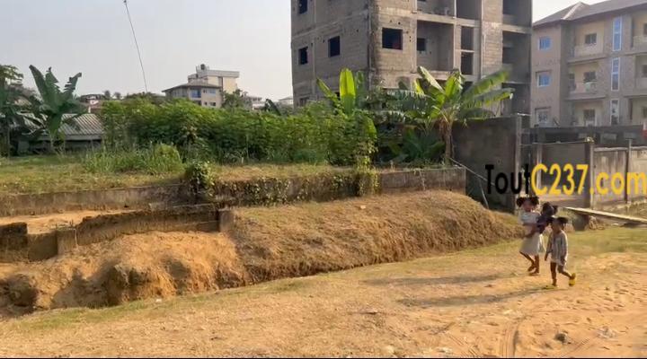 Terrain à vendre à Logpom Njoya