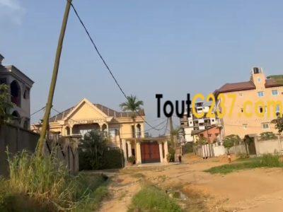 Terrain à vendre à Logpom Njoya