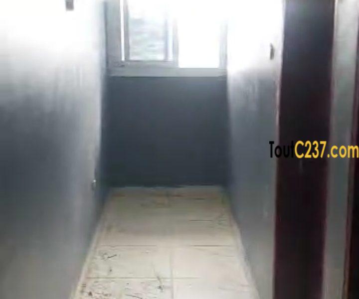 Appartement neuf à louer à Deido, Douala