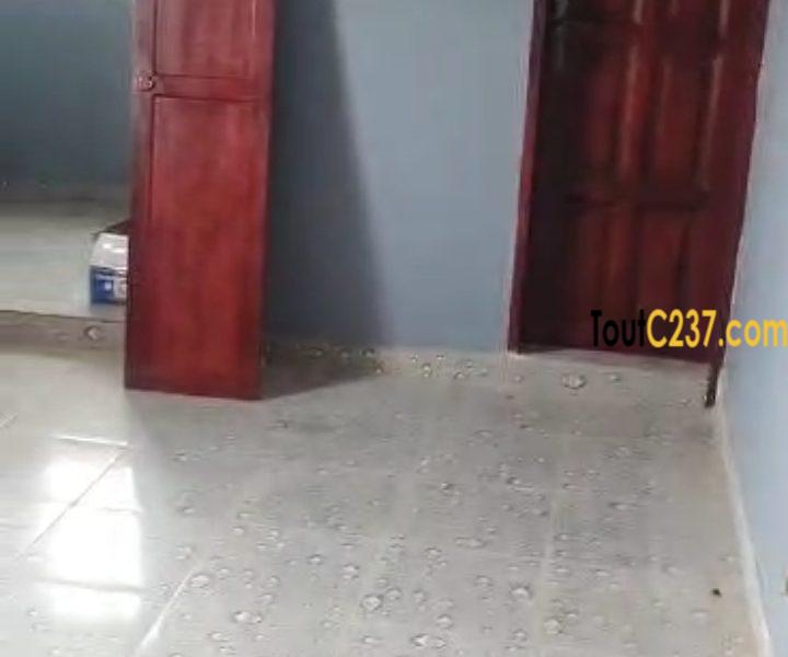 Appartement neuf à louer à Deido, Douala