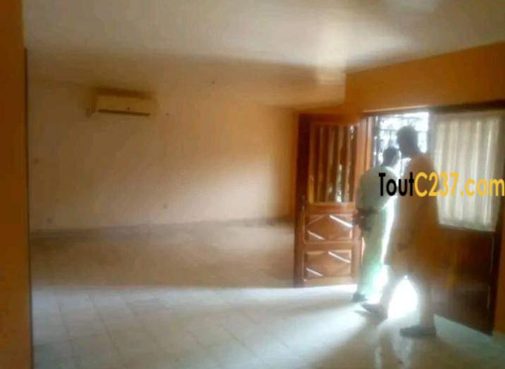 Maison à louer à Bonapriso Douala
