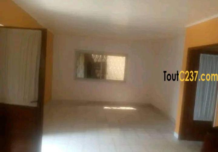 Maison à louer à Bonapriso Douala