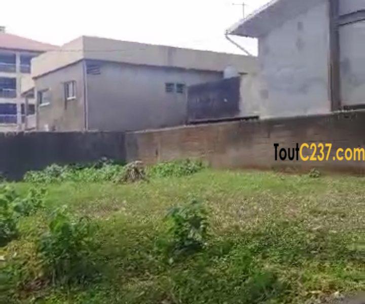 Terrain d'angle à vendre à Bonamoussadi Douala
