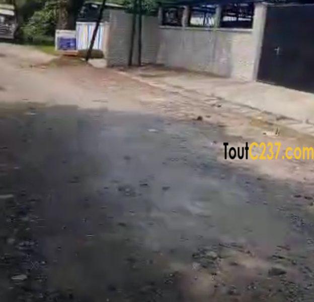 Terrain d'angle à vendre à Bonamoussadi Douala